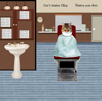 Free Barber Cat illustration and picture