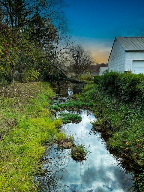 Free Water Nature photo and picture