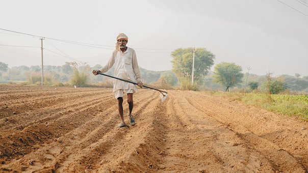 Agricultor, Campo, Agricultura, Gente