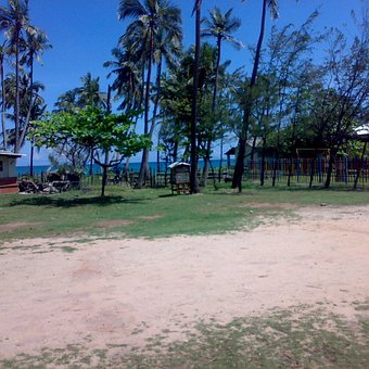 Free Nature Beach photo and picture