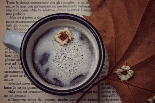 Free Beverage Tea photo and picture