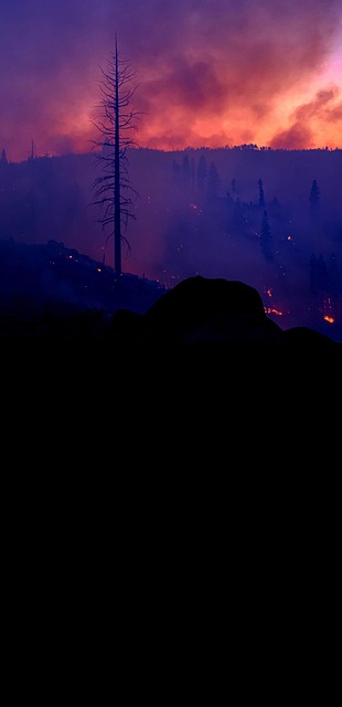 Free Fire Beautiful photo and picture