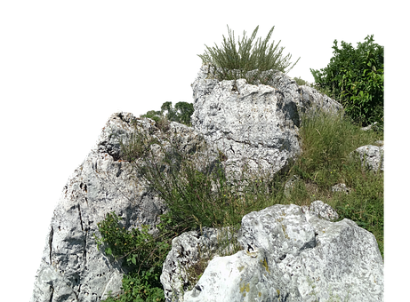 Free Rocks Grass illustration and picture