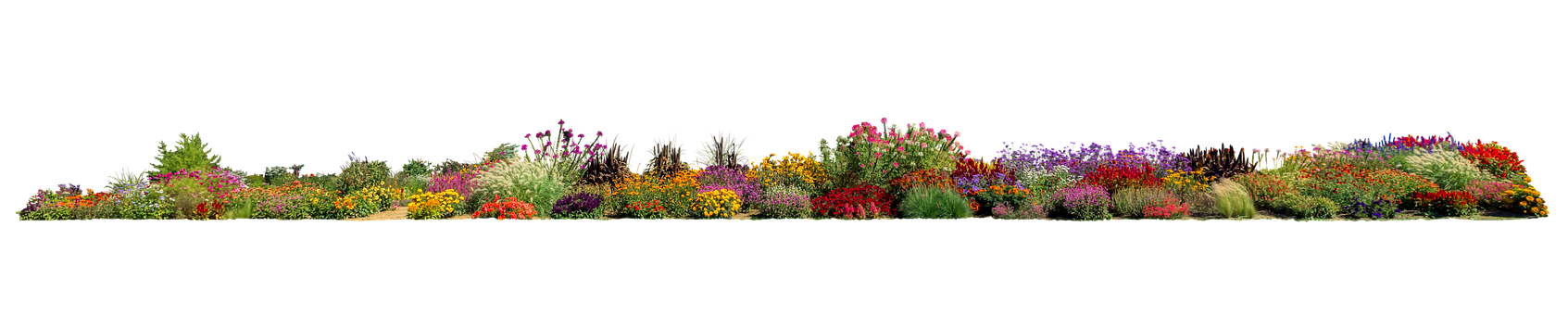 Free Flowers Garden illustration and picture