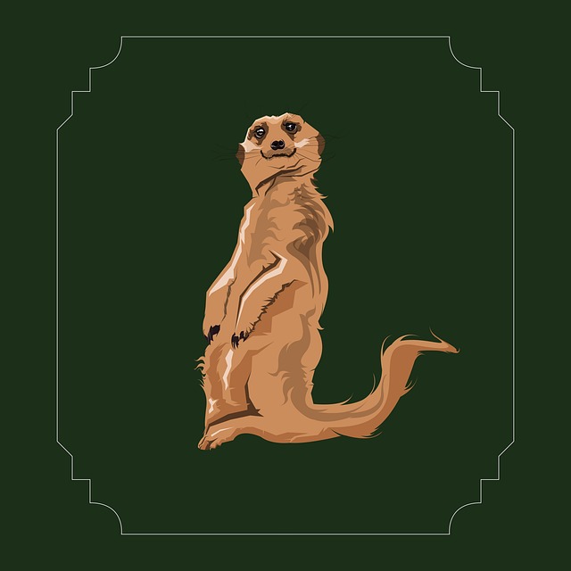 Suricata, Mamifer, Animal, Pădure