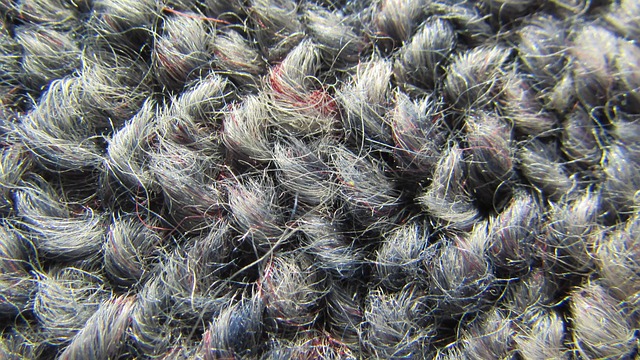 Carpet Macro CloseUp Free photo on Pixabay Pixabay