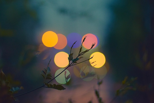 Free Bokeh Evening photo and picture
