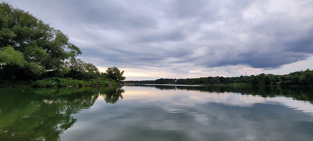 Free Nature Summer photo and picture