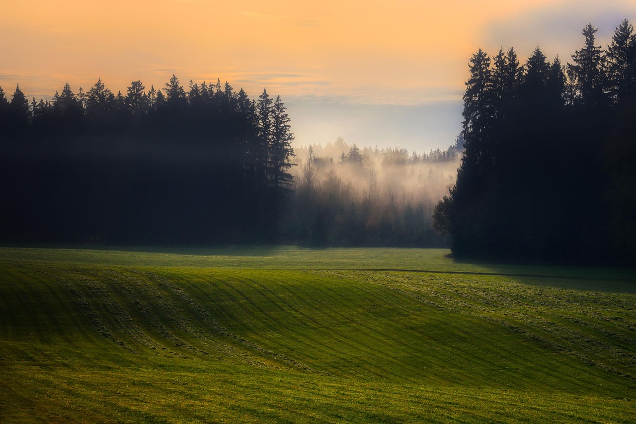 Landscape - free online jigsaw puzzle photo