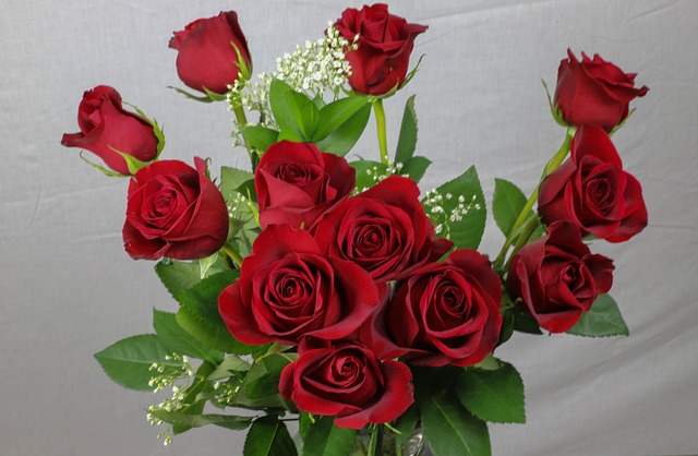 Roser, Rose, Blomst, Elsker, Romantik