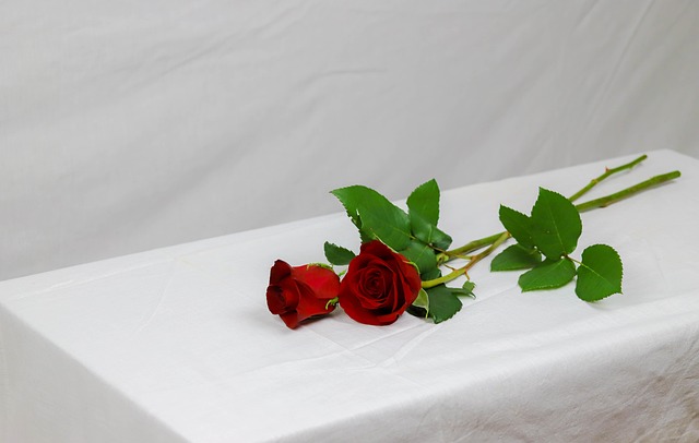 Blomster, Rose, Rød, Elsker, Mindesmærke