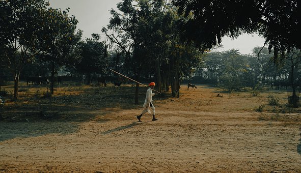 Hombre, La Carretera, Campo, Pueblo