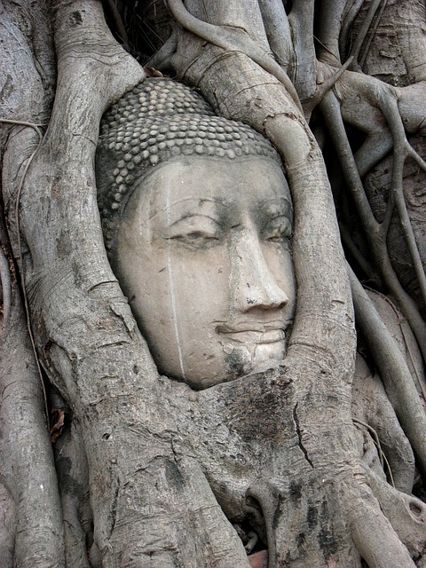 Free Buddha Wat Mahathat photo and picture