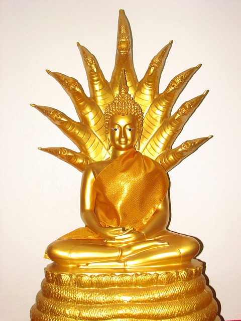 Free Buddha Buddhism photo and picture