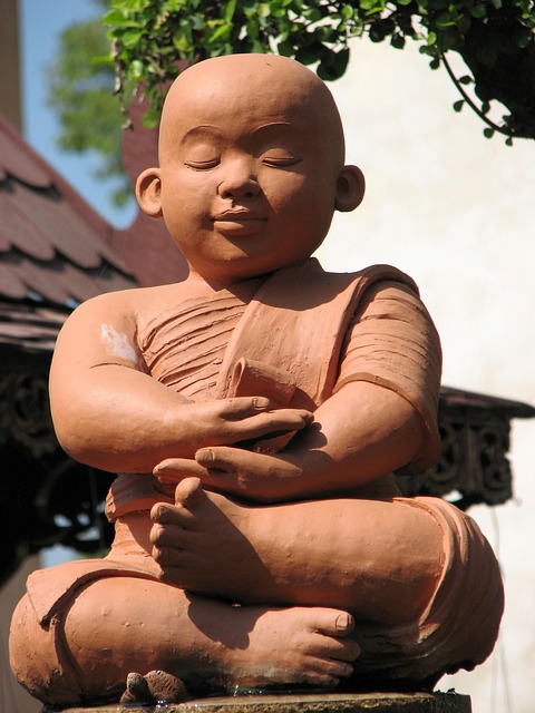 Free Novice Monk photo and picture