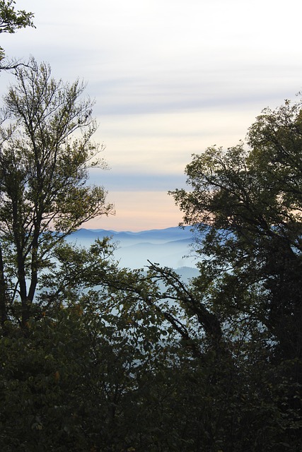 Free Vosges Alsace photo and picture