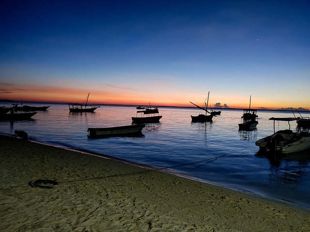 Free View Night photo and picture