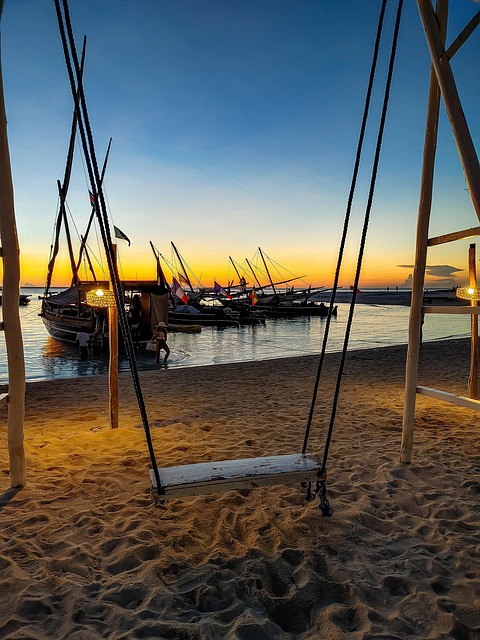 Free Swing Beach photo and picture