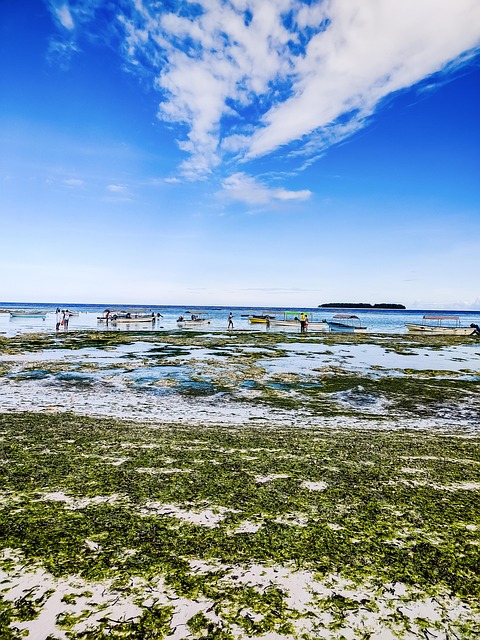 Free Beach Coast photo and picture