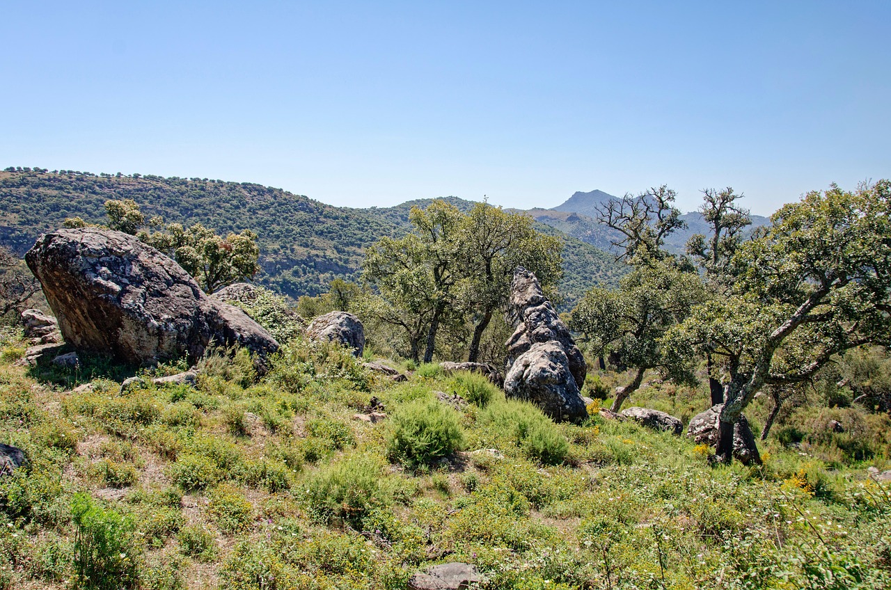 Spain Andalusia Province Of Malage - Free photo on Pixabay - Pixabay