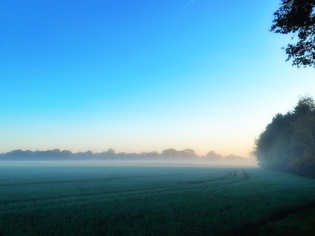 Zon, Zonsopkomst, Schemering, Blauw