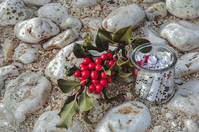 Free Holly Red Berries photo and picture
