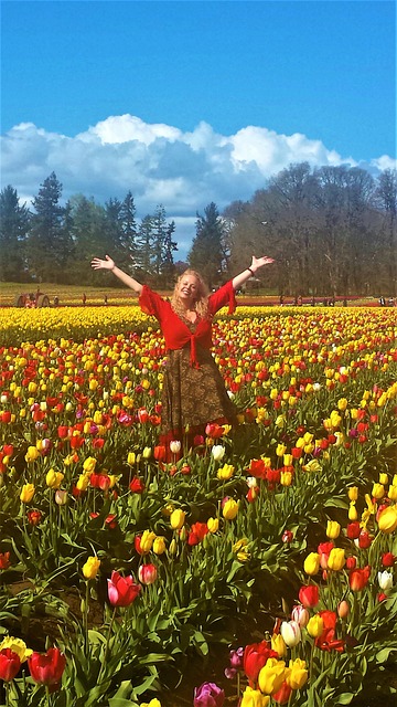 Free Tulips Spring photo and picture