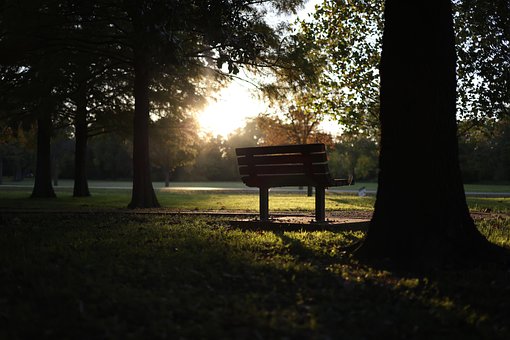 Free Bench Park photo and picture