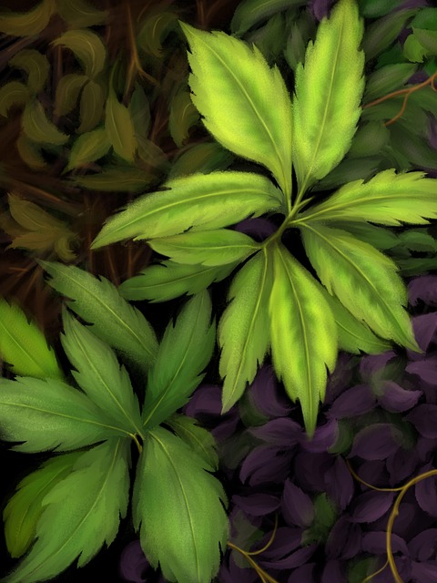 Frunza Verde, Frunza Mov, Plante