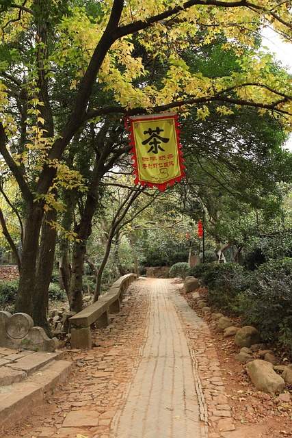 Free Yuhua Shengjing Autumn photo and picture