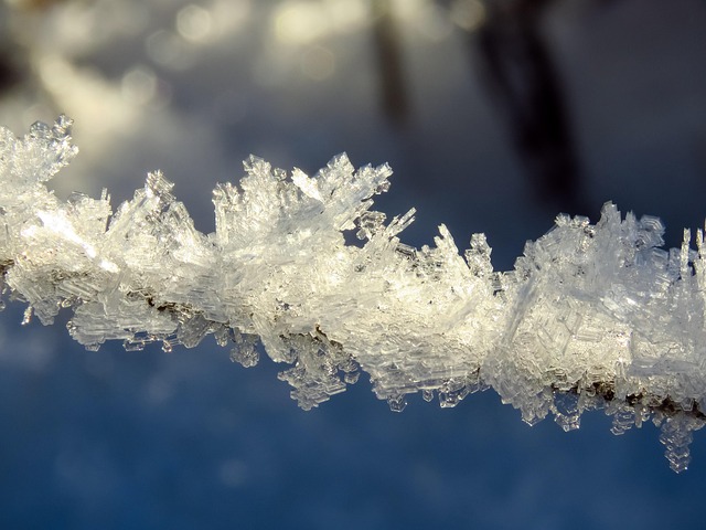 서리 결정체 얼음 - Pixabay의 무료 사진 - Pixabay