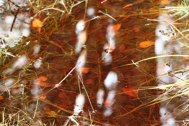 Natur, Herbst, Wasser, Wetter, Berge