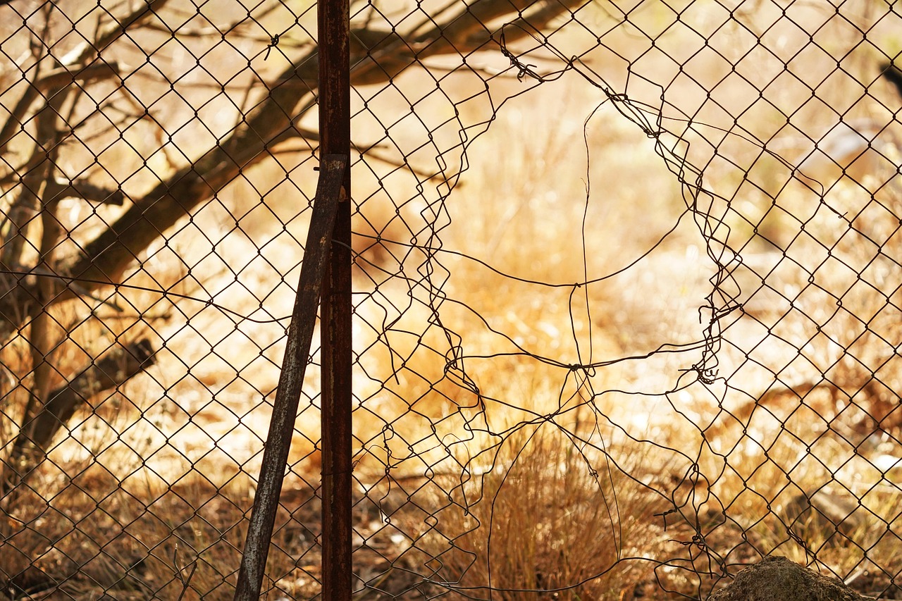 10,000+ Free Broken Fence & Fence Images - Pixabay