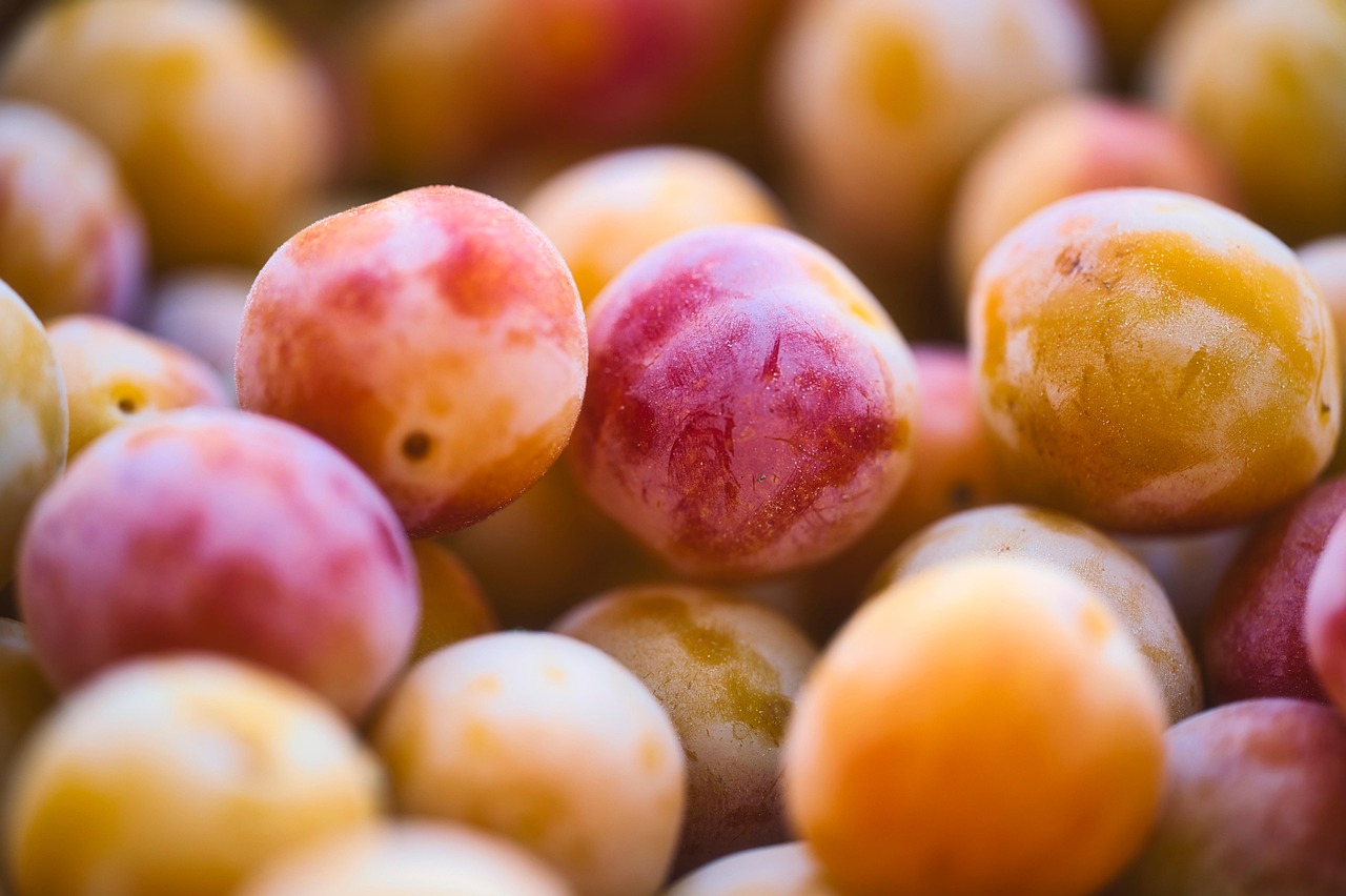 Mirabelle Plum Fruit Organic Free Photo On Pixabay Pixabay