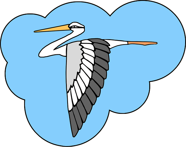 Free bird digital drawing stork vector