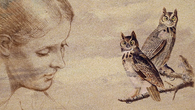 Free background woman owls illustration