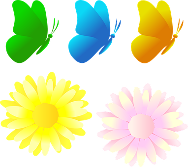 Schmetterling, Blume, Natur