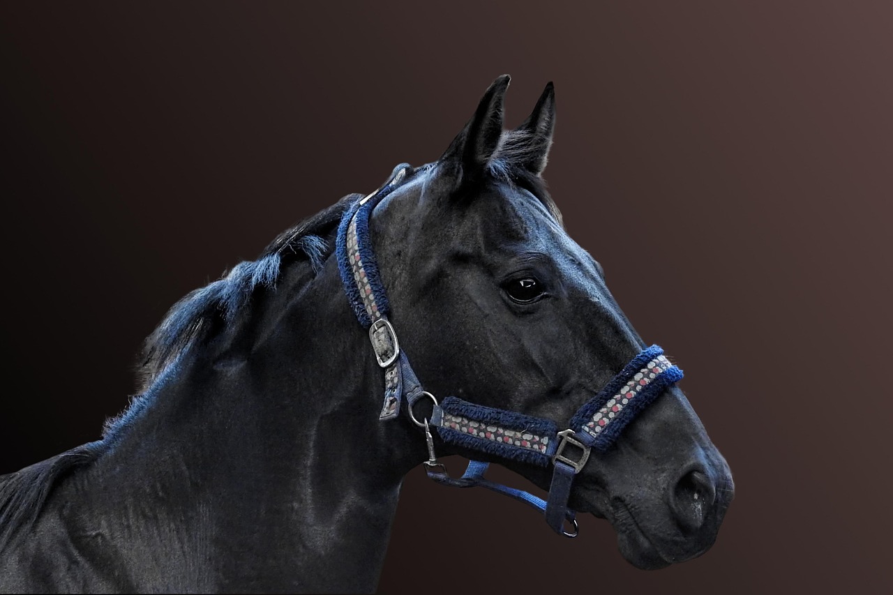 Horse - free online jigsaw puzzle photo