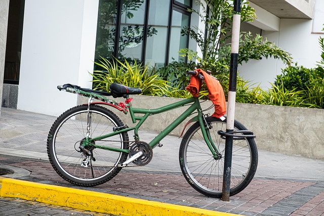 Bicicleta, Ciudad