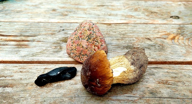 Free Mushroom Stones photo and picture