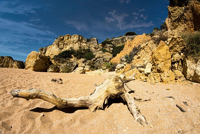 Free Beach Sand photo and picture