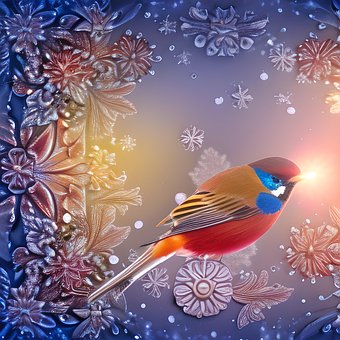 Free Songbird Bird photo and picture