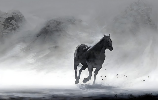 Free horse run valley illustration
