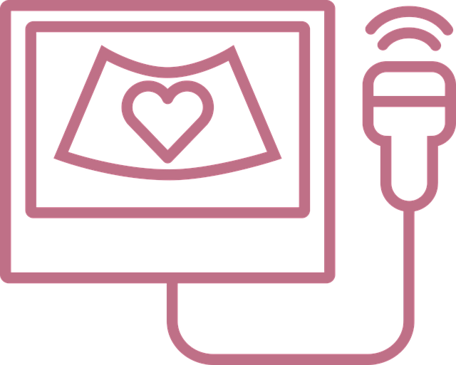 Free ultrasound treatment gynecology vector