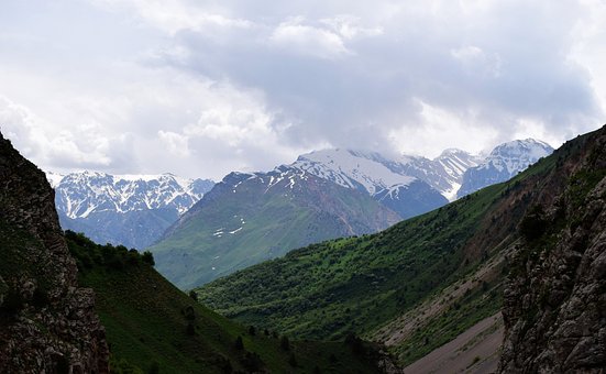Free Mountains Forest photo and picture