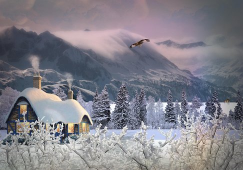 Winter, Landschaft, Wolken, Vogel, Natur