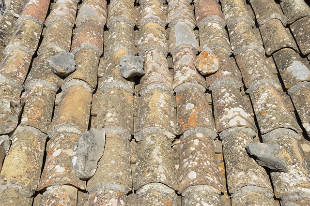 Free Roof Sicily photo and picture