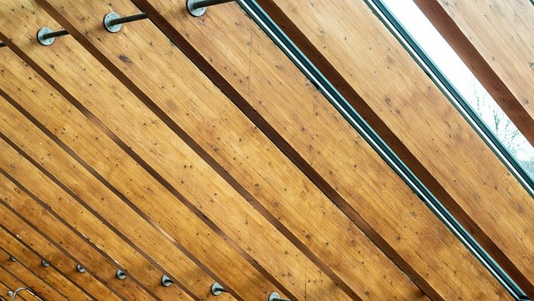 Free Wood Apex photo and picture