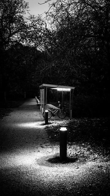 Free Winter Path photo and picture