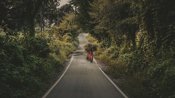 Mujeres, La Carretera, Árboles, Agua